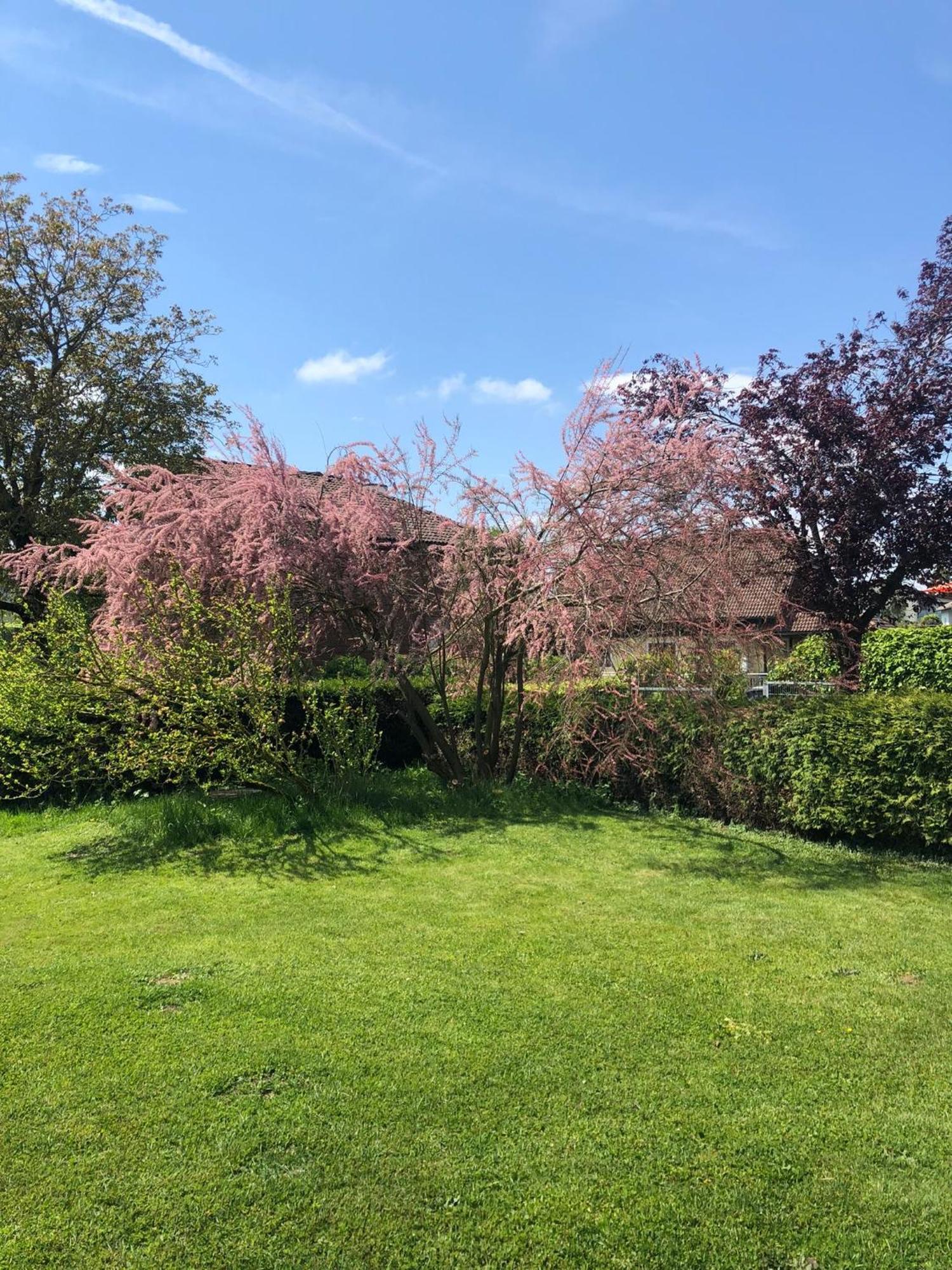 Gemuetliche Blockhuette Mit Grossem Garten Ried im Innkreis Exterior photo